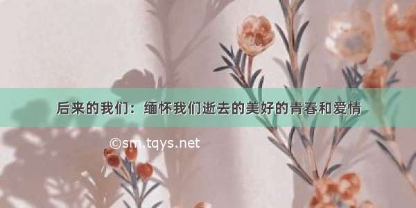 后来的我们：缅怀我们逝去的美好的青春和爱情