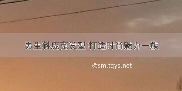 男生斜庞克发型 打造时尚魅力一族