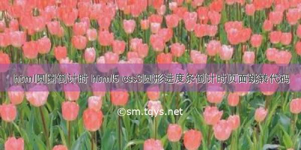 html圆圈倒计时 html5 css3圆形进度条倒计时页面跳转代码