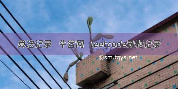 算法记录  牛客网  leetcode刷题记录