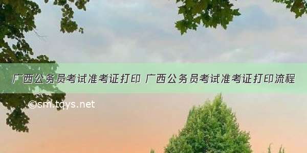 广西公务员考试准考证打印 广西公务员考试准考证打印流程