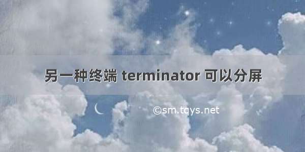 另一种终端 terminator 可以分屏