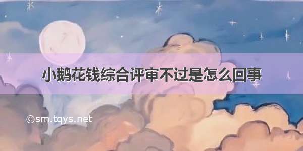 小鹅花钱综合评审不过是怎么回事