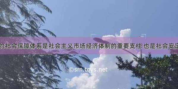 单选题完善的社会保障体系是社会主义市场经济体制的重要支柱 也是社会安定的重要保证