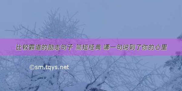 比较霸道的励志句子 简短经典 哪一句说到了你的心里