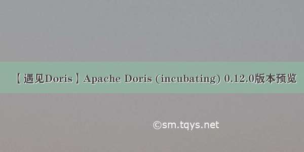 【遇见Doris】Apache Doris (incubating) 0.12.0版本预览