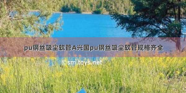 pu钢丝吸尘软管A兴国pu钢丝吸尘软管规格齐全