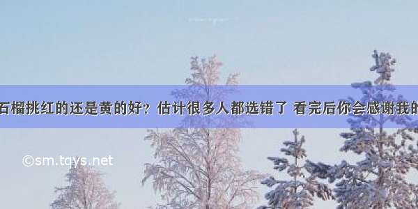 石榴挑红的还是黄的好？估计很多人都选错了 看完后你会感谢我的