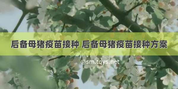 后备母猪疫苗接种 后备母猪疫苗接种方案