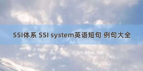 SSI体系 SSI system英语短句 例句大全