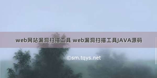 web网站漏洞扫描工具 web漏洞扫描工具JAVA源码