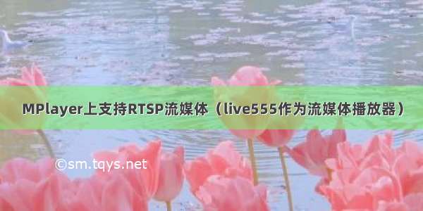 MPlayer上支持RTSP流媒体（live555作为流媒体播放器）