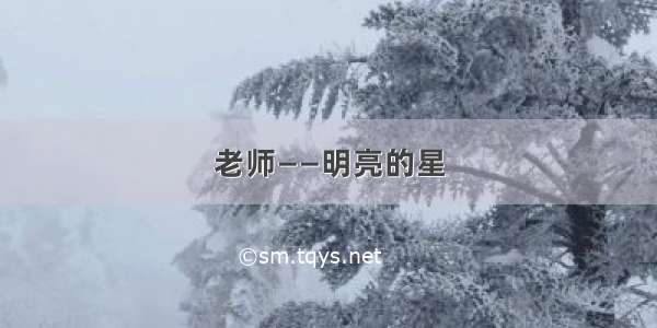 老师——明亮的星