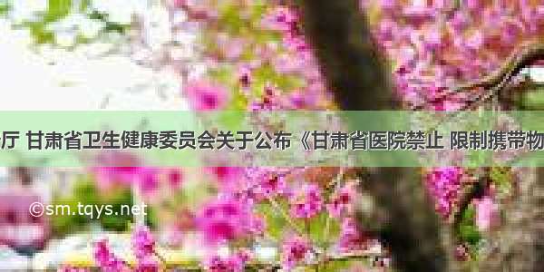 甘肃省公安厅 甘肃省卫生健康委员会关于公布《甘肃省医院禁止 限制携带物品名录》的