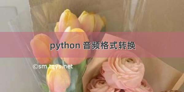 python 音频格式转换