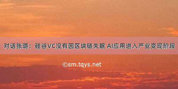 对话张璐：硅谷VC没有因区块链失眠 AI应用进入产业变现阶段