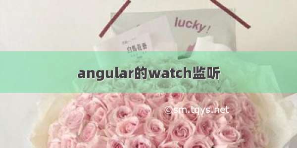 angular的watch监听