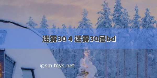 迷雾30 4 迷雾30层bd