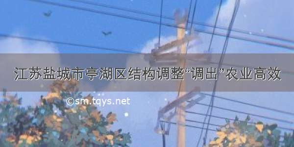 江苏盐城市亭湖区结构调整“调出”农业高效