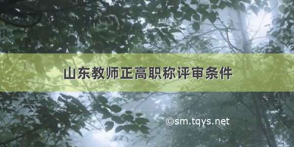 山东教师正高职称评审条件