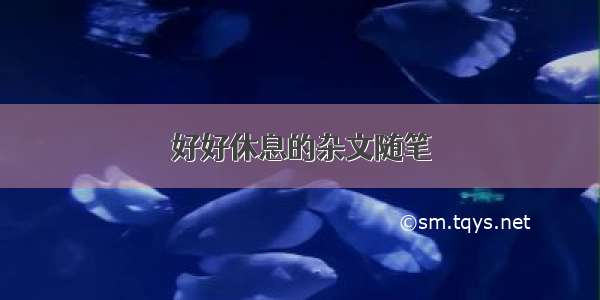 好好休息的杂文随笔