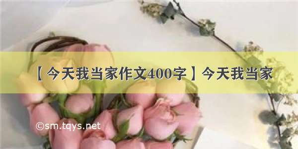 【今天我当家作文400字】今天我当家