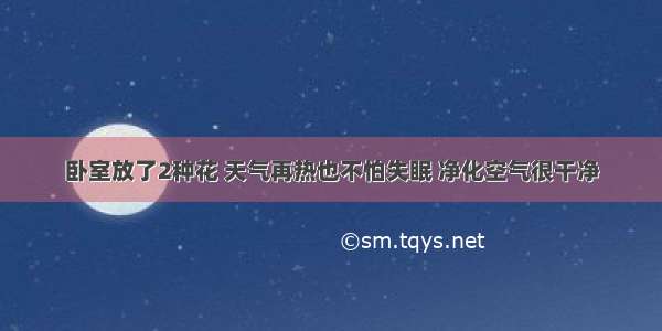 卧室放了2种花 天气再热也不怕失眠 净化空气很干净