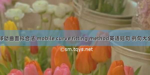 移动曲面拟合法 mobile curve fitting method英语短句 例句大全