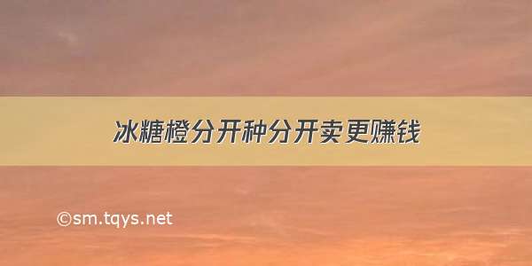 冰糖橙分开种分开卖更赚钱