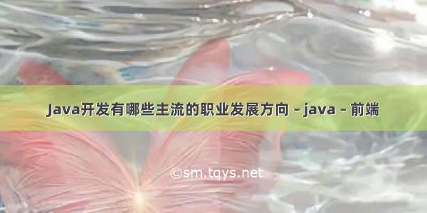 Java开发有哪些主流的职业发展方向 – java – 前端