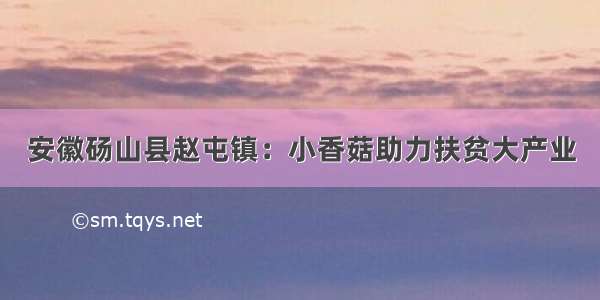 安徽砀山县赵屯镇：小香菇助力扶贫大产业