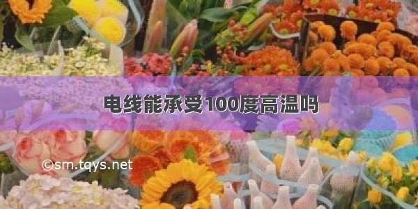 电线能承受100度高温吗