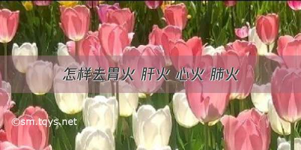 怎样去胃火 肝火 心火 肺火