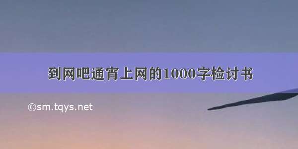 到网吧通宵上网的1000字检讨书