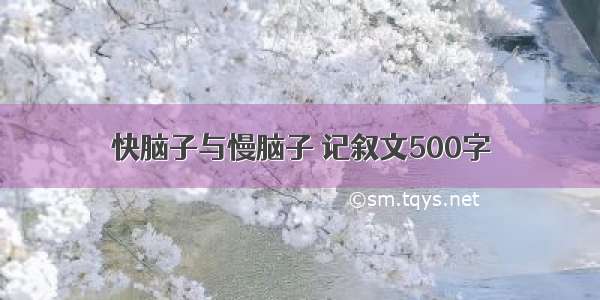 快脑子与慢脑子 记叙文500字