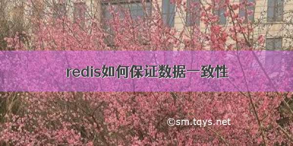 redis如何保证数据一致性