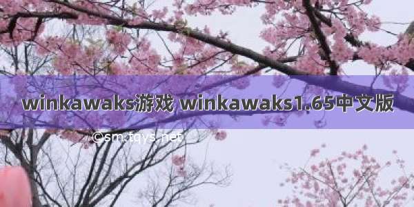 winkawaks游戏 winkawaks1.65中文版