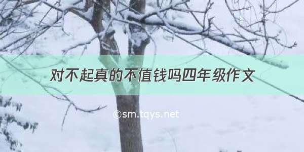 对不起真的不值钱吗四年级作文