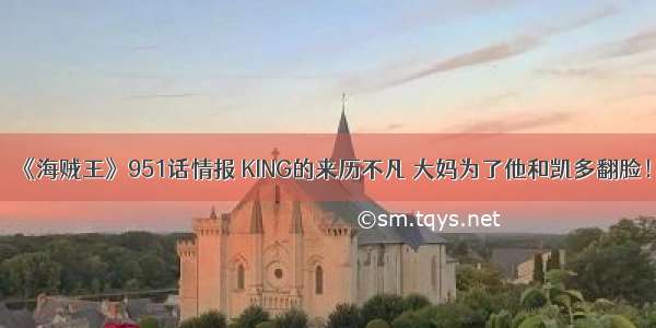 《海贼王》951话情报 KING的来历不凡 大妈为了他和凯多翻脸！