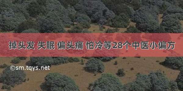 掉头发 失眠 偏头痛 怕冷等28个中医小偏方