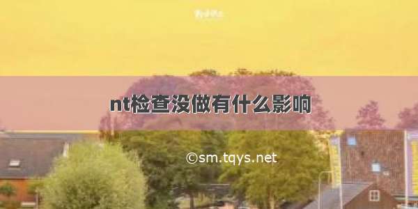 nt检查没做有什么影响