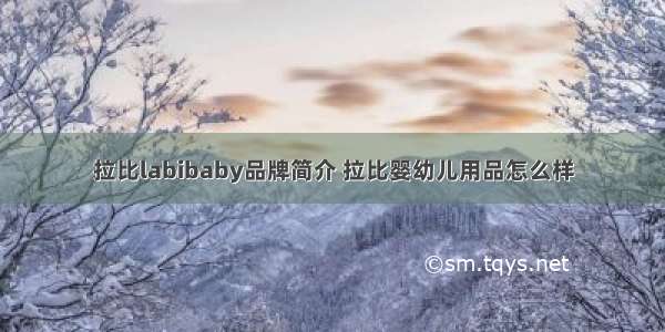 拉比labibaby品牌简介 拉比婴幼儿用品怎么样