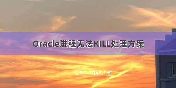 Oracle进程无法KILL处理方案