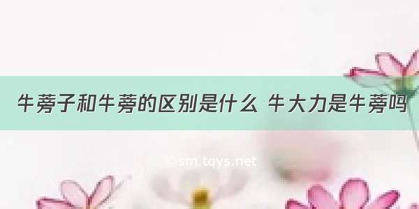 牛蒡子和牛蒡的区别是什么 牛大力是牛蒡吗