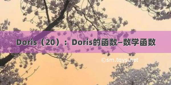 Doris（20）：Doris的函数—数学函数
