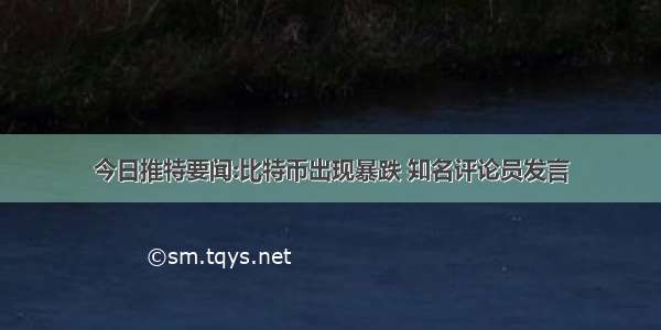 今日推特要闻:比特币出现暴跌 知名评论员发言