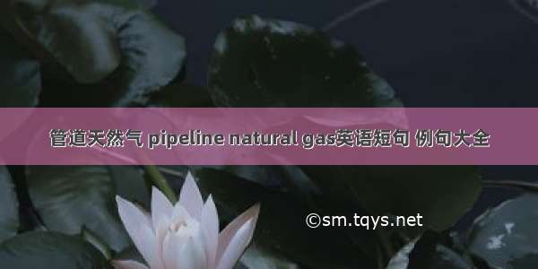 管道天然气 pipeline natural gas英语短句 例句大全