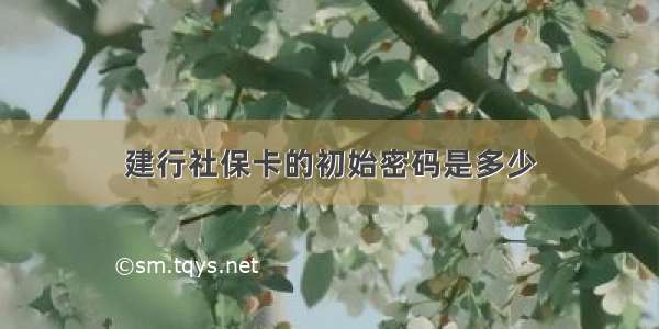 建行社保卡的初始密码是多少