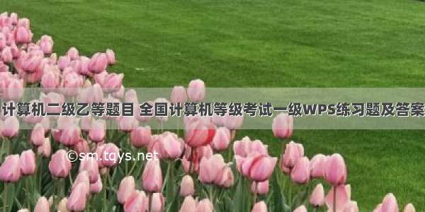 计算机二级乙等题目 全国计算机等级考试一级WPS练习题及答案