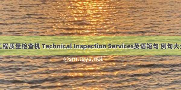 工程质量检查机 Technical Inspection Services英语短句 例句大全